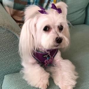 Meet your Posher, Cheryl